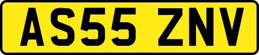 AS55ZNV