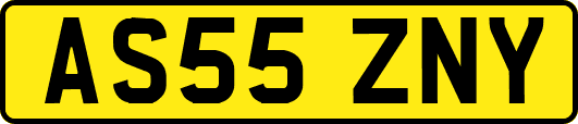 AS55ZNY