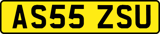 AS55ZSU