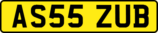 AS55ZUB
