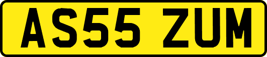 AS55ZUM