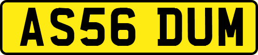 AS56DUM