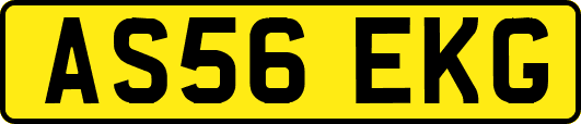 AS56EKG