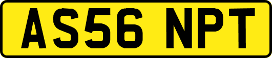 AS56NPT
