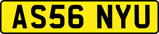 AS56NYU