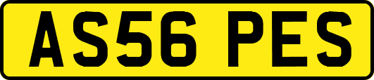 AS56PES