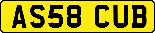 AS58CUB