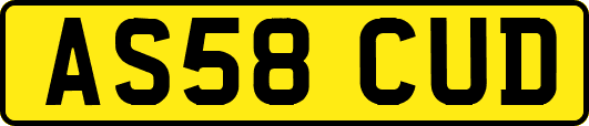 AS58CUD