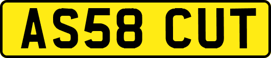 AS58CUT