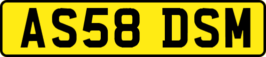 AS58DSM