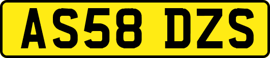 AS58DZS