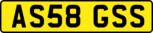 AS58GSS