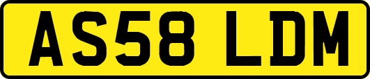 AS58LDM