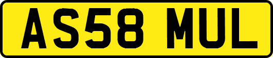 AS58MUL