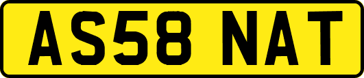 AS58NAT