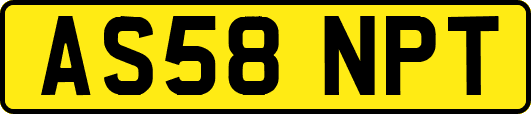 AS58NPT