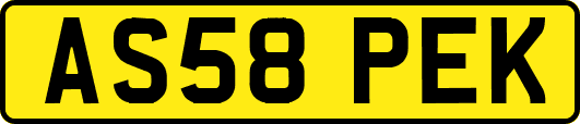 AS58PEK