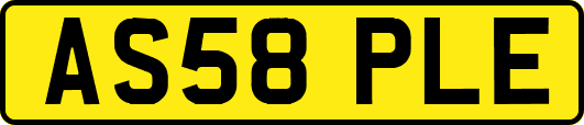 AS58PLE