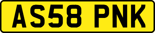 AS58PNK