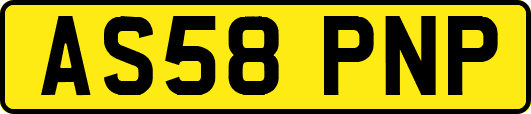 AS58PNP