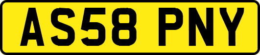 AS58PNY