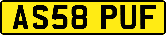 AS58PUF