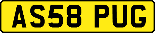 AS58PUG
