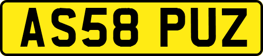AS58PUZ