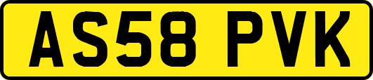 AS58PVK