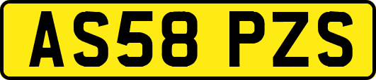 AS58PZS