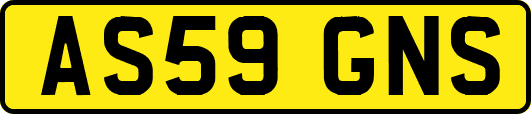 AS59GNS