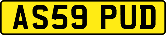 AS59PUD
