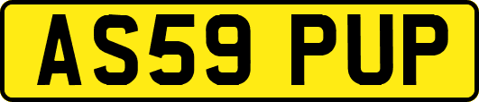 AS59PUP