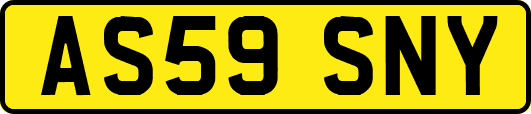 AS59SNY