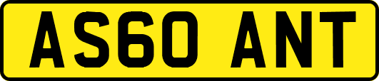 AS60ANT
