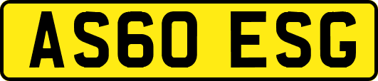 AS60ESG