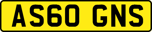 AS60GNS