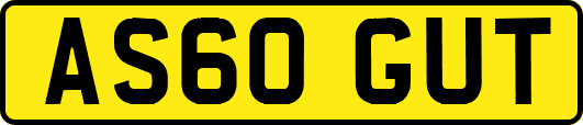 AS60GUT