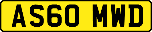 AS60MWD