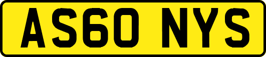 AS60NYS