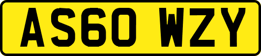 AS60WZY