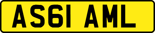 AS61AML