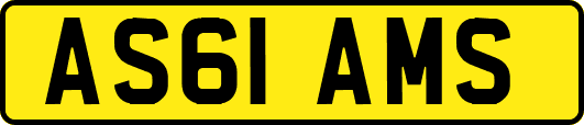 AS61AMS