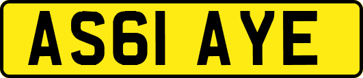AS61AYE