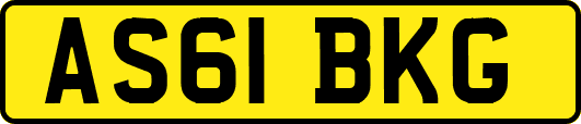 AS61BKG
