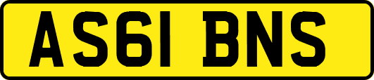 AS61BNS
