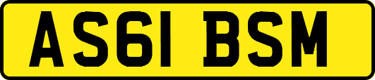 AS61BSM