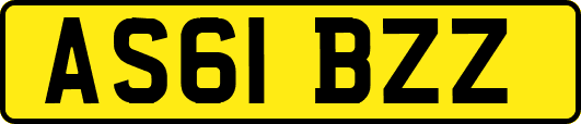 AS61BZZ