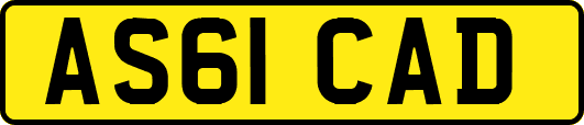 AS61CAD