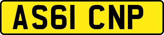 AS61CNP